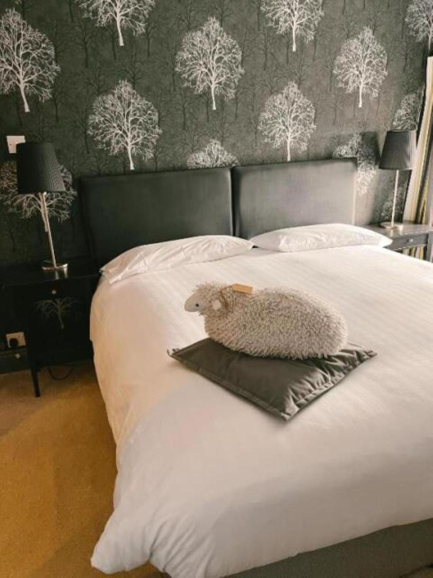The Cheviot Hotel بيلينجهام المظهر الخارجي الصورة